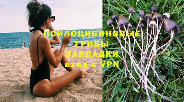 mdpv Верея