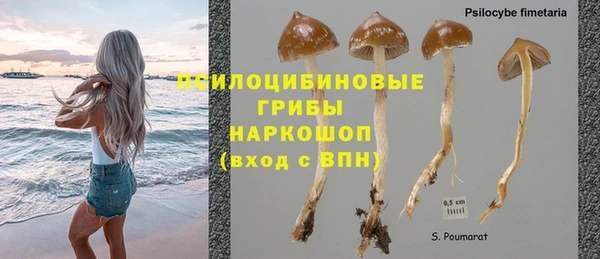 mdpv Верея